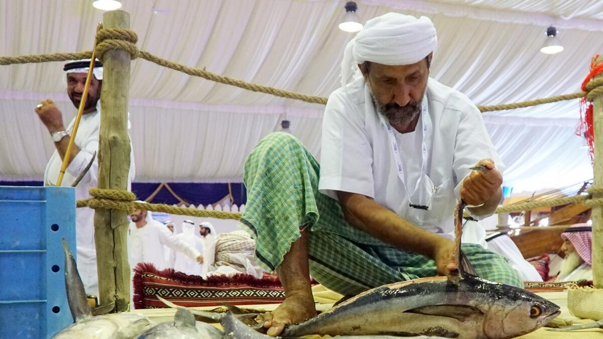 A fisherman demonstrating the fish cutting techniques on a stall at the 7th Dried Fish and Fishing festival.– Photo by M. Sajjad