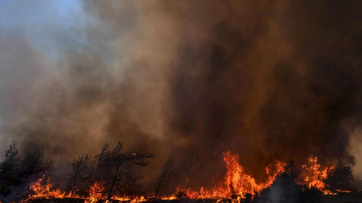 Flames burn a forest during a wildfire in Vati village on the Aegean Sea island of Rhodes, southeastern Greece. Photo:  AP file