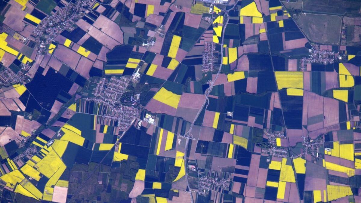 Striking image is of the patchwork farmland of Europe and shows an array of colourful fields near the city of Szombathely, Hungary. Jeff Williams/Twitter