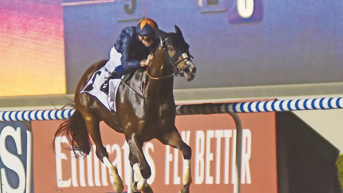 GEARED UP: Capezzano served up a sizzling show at Meydan on Thursday. - KT photo by Shihab