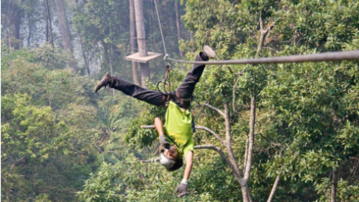 Canadian tourist plunges to death in zipline accident in Thailand