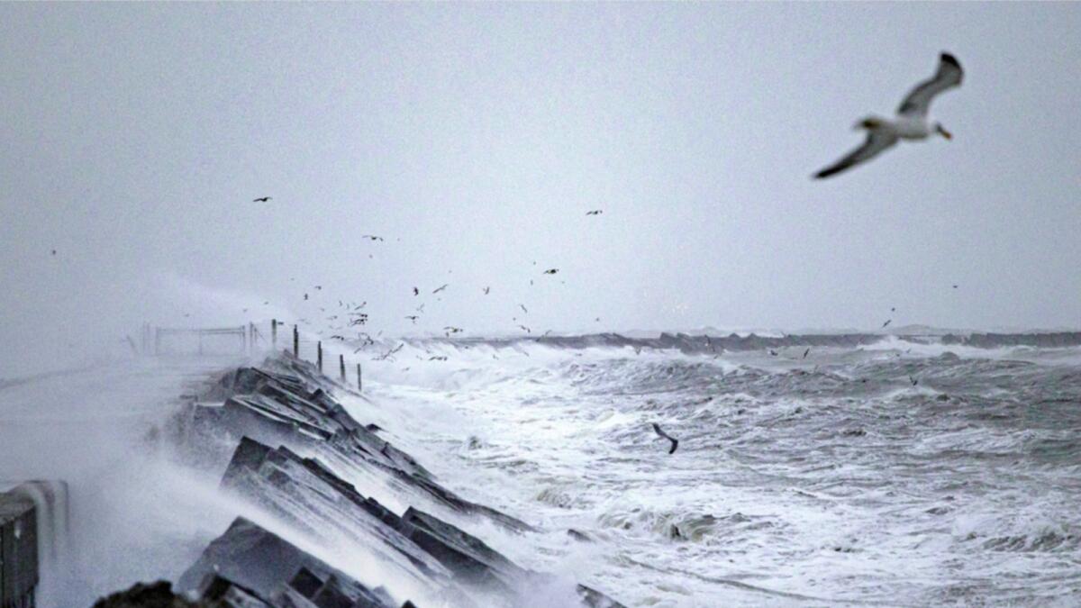 Storm Corrie rages over the sea in Ijmuiden. — AFP