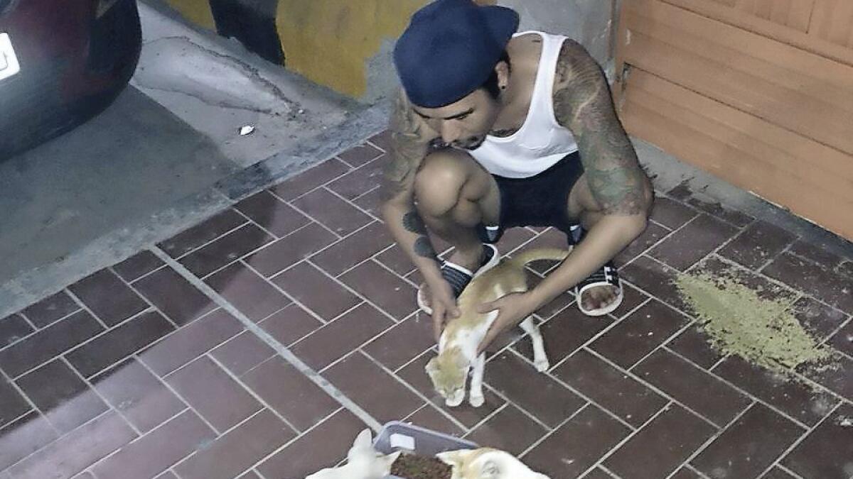 Unemployed UAE resident goes extra mile to feed street cats daily