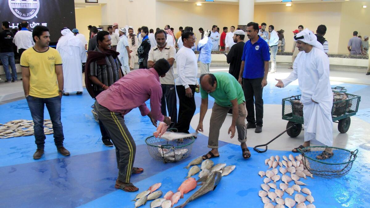An auction going on at the fish auction section of Souq Al Jubail.