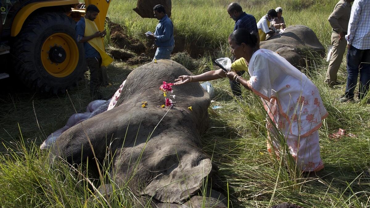 India passenger train hits and kills 2 Asian elephants