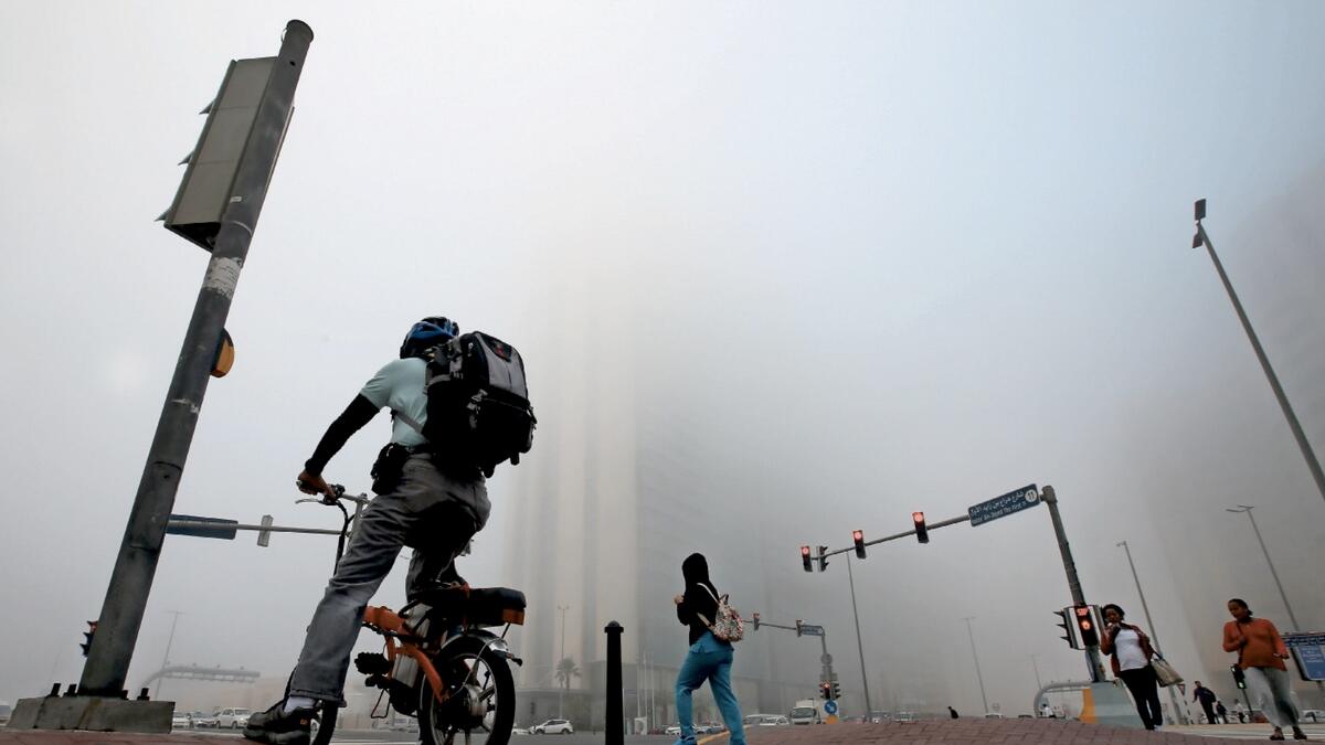 weather, UAE weather, Humidity, foggy, fog, mist