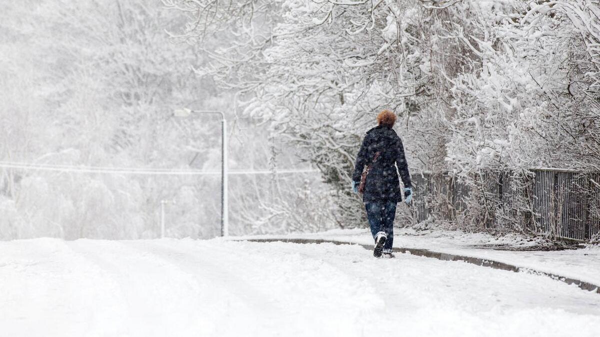 2. Cold weather and snow kills the virus - There is evidence to believe that cold weather can kill the new coronavirus or other diseases. The normal human body temperature remains around 36.5°C to 37°C, regardless of the external temperature or weather.