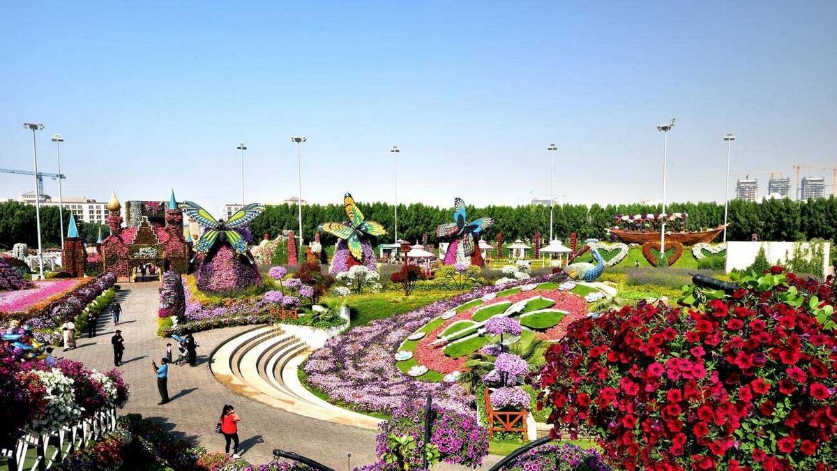 Coronavirus, UAE, Dubai Miracle Garden, Dubai Butterfly Garden, announce, temporary, closure 