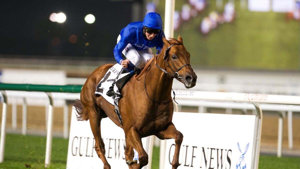 Safety Check looks rock solid at Carnival in Meydan meeting