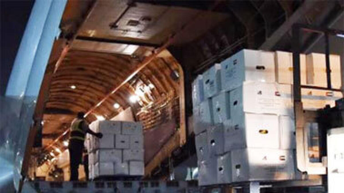 UAE aid to Yemen reaches Dh93.8 million