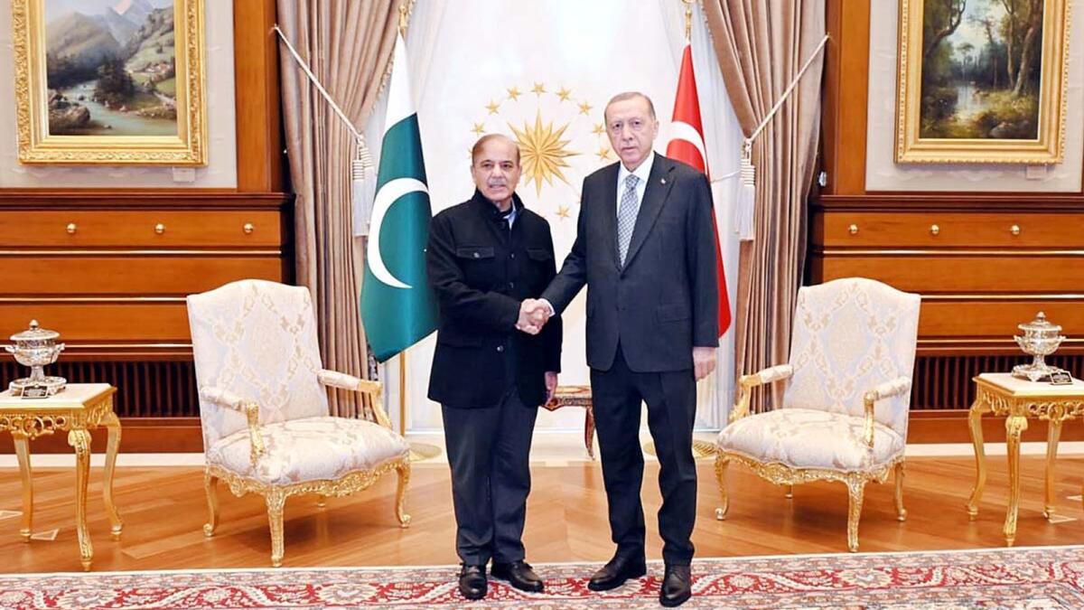 Pakistan Prime Minister Shehbaz Sharif meets President of Turkey Recep Tayyip Erdogan in Ankara on Thursday. — APP