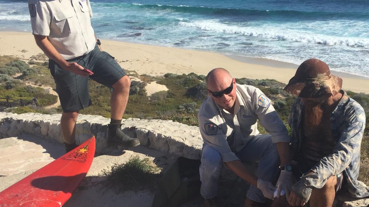 Surfer mauled by shark swims to shore despite leg injuries 