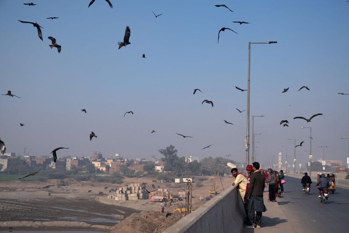 Kite birds fly as they are fed with meat, as a form of charity to bring 'good luck and ward off adversity', along Ravi Bridge in Lahore, Pakistan December 19, 2023. — Reuters