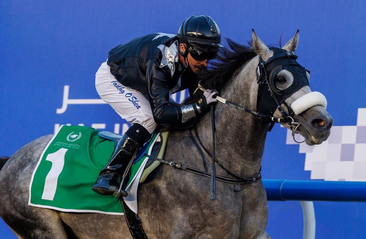 UAE Champion Jockey Tadhg O'Shea. — ERA