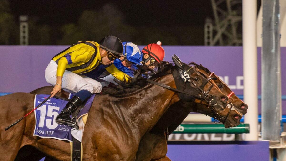 Right Approach and Paolini could not be split in the Dubai Duty Free Stakes in 2004, the first dead heat in the history of the Dubai World Cup meeting. — DRC