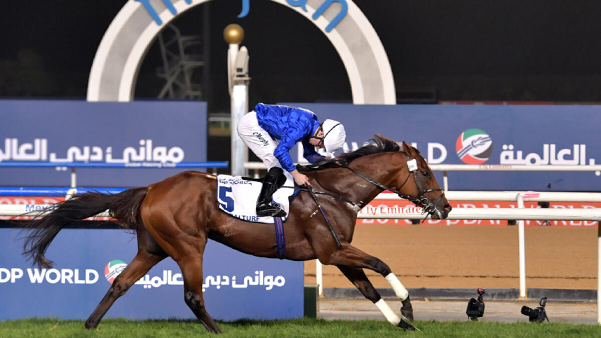 Stellar cast gathers for first Saudi Cup day