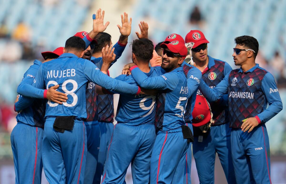 Afghanistan players celebrates the wicket of Netherlands' Max O'Dowd during the ICC Men's Cricket World Cup. - AP