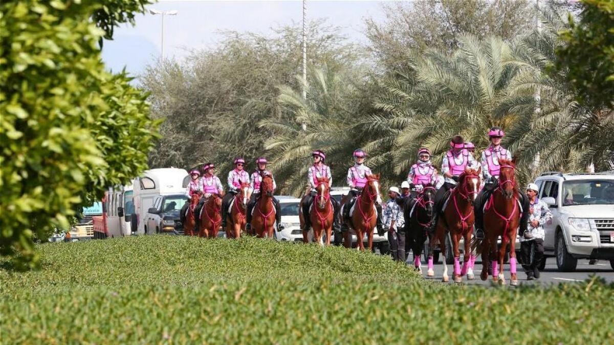 Pink Caravan reaches Ras Al Khaimah 