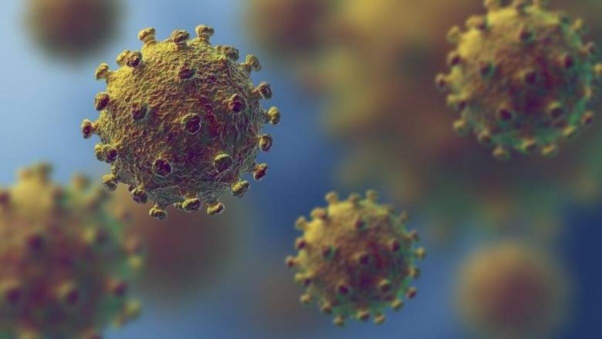 coronavirus, covid-19, new cases, corona death in UAE