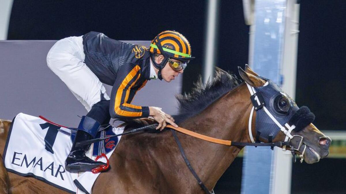 Isolate wins the Al Maktoum Mile at Meydan's 'Festive Friday' meeting. -  Photo by Dubai Racing Club