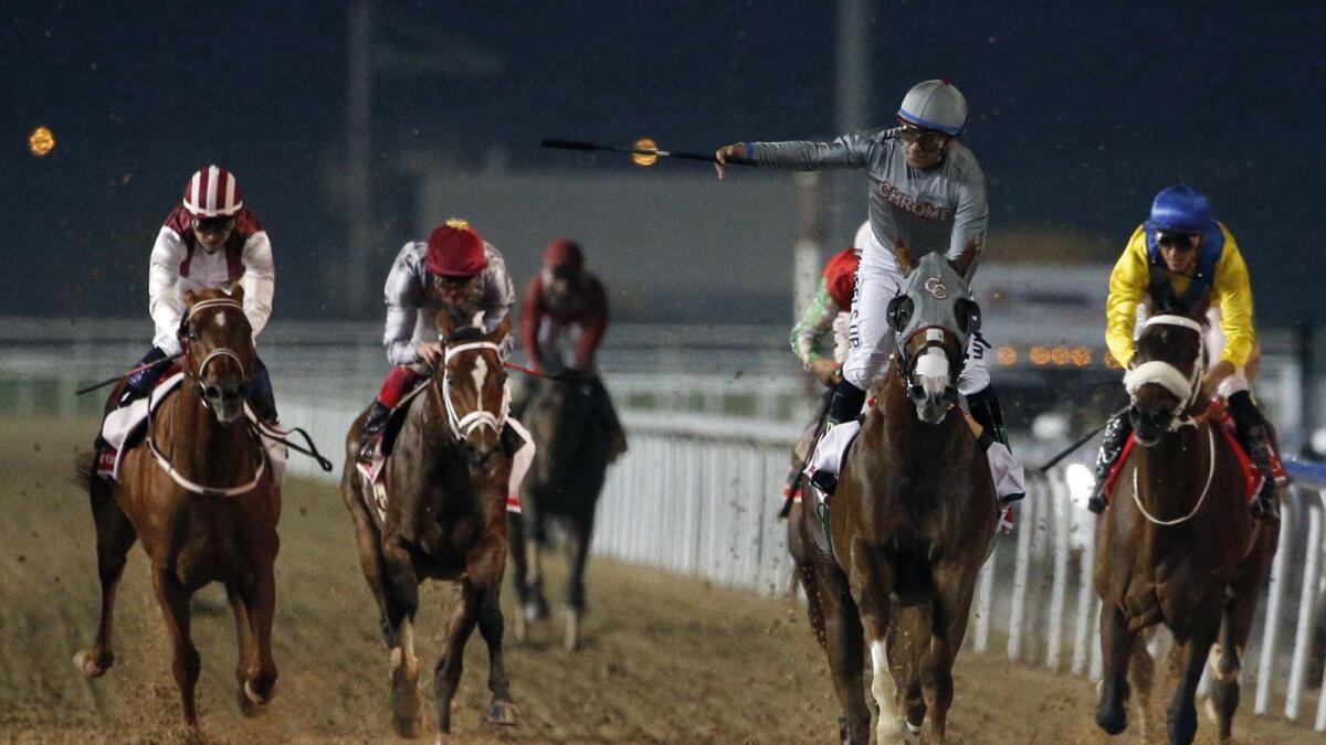 Superstar: California Chrome (second from right) had that aura about him and he went on to triumph on the big night at Meydan in 2016. — AFP