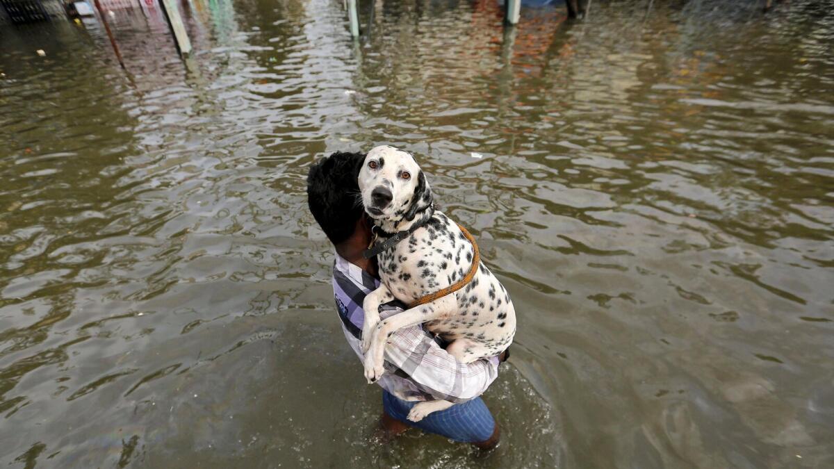 Residents resort to self-help as floods grip Indias Chennai