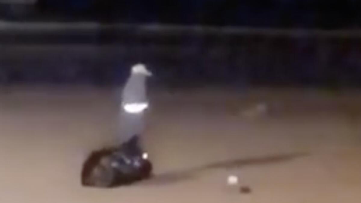 Video: RAK cleaner dumps garbage on beach in viral clip