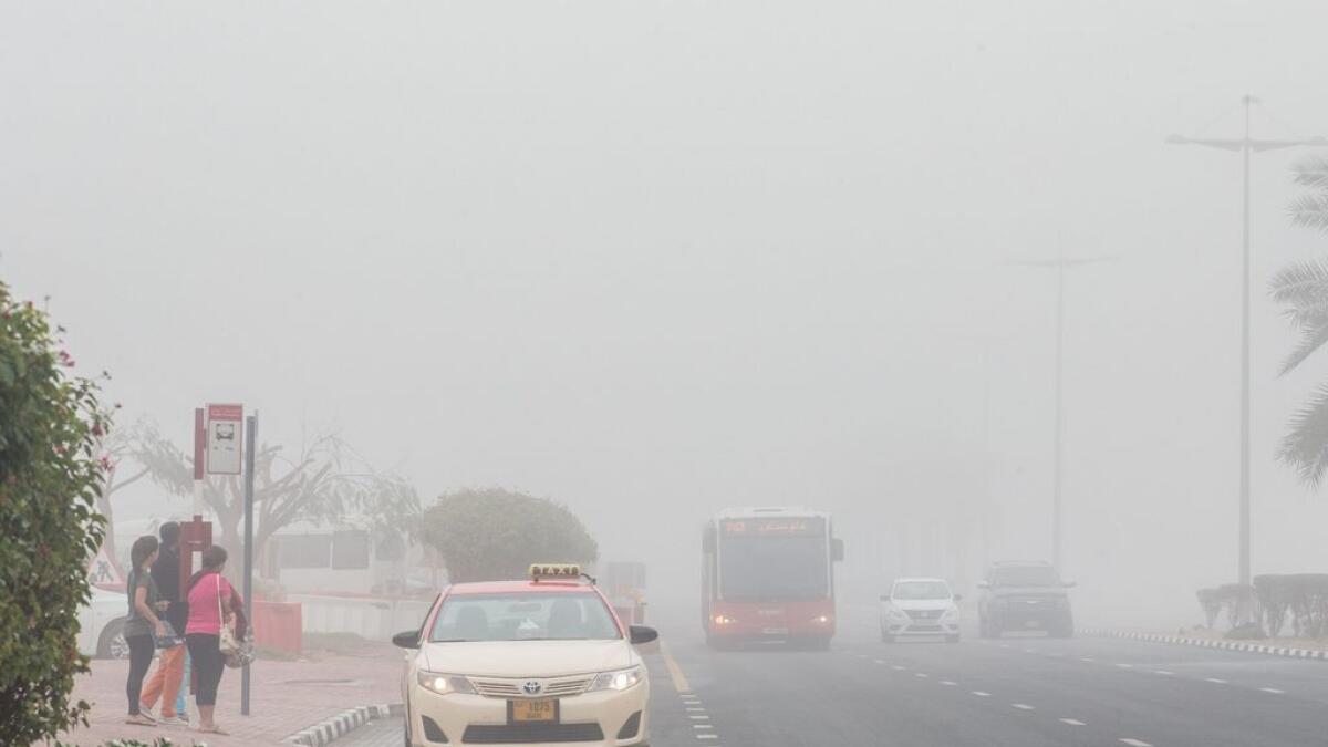 UAE motorists warned of low visibility due to fog