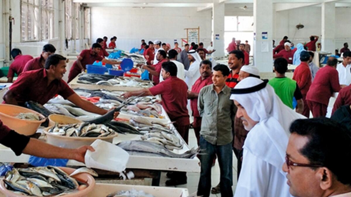 Heading to the RAK fish market? Check prices online first