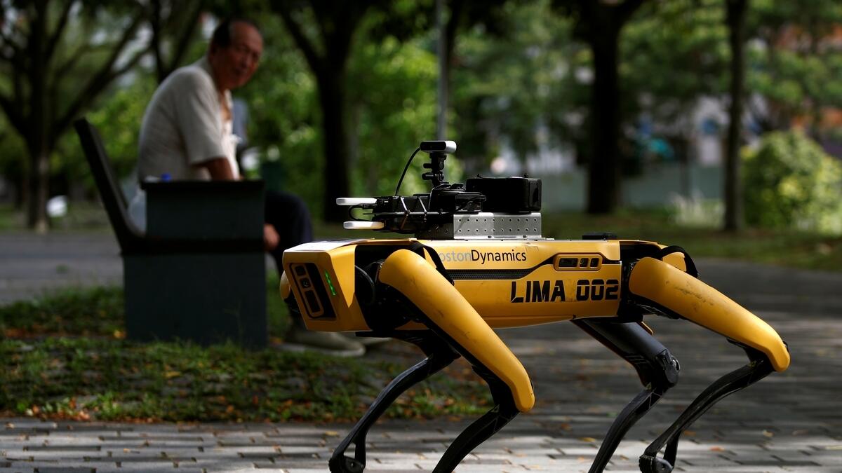 Yellow, robot dog, Spot, Uptown Funk, Singapore park, ensure, social distancing, coronavirus, Covid-19