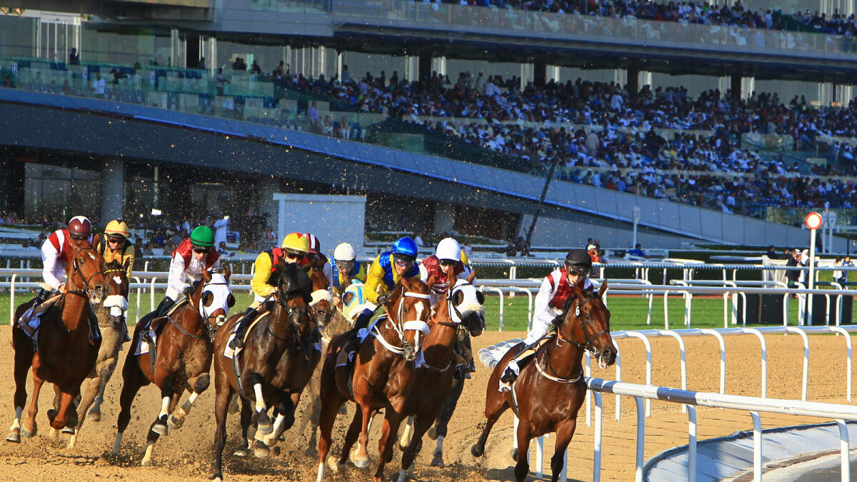 The eight-week extravaganza, which will culminate in the $30.5 million Dubai World Cup meeting on March 26, has the potential to be one of the best in its history. (KT file)