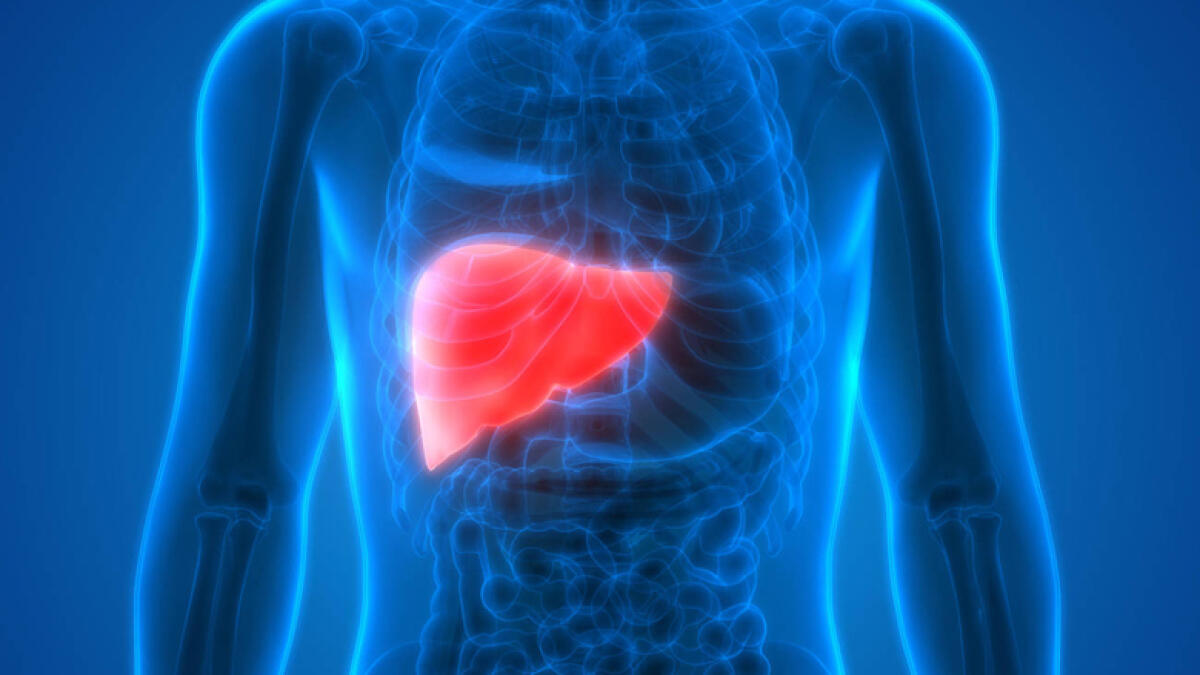 Doctors in UAE warn of rising risks of liver cancer among residents