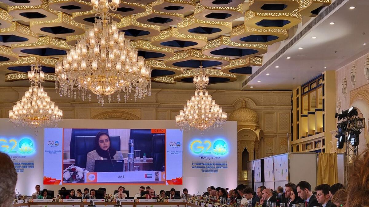 UAE Participates in the Second SFWG Meeting for 2023.  - Supplied photo