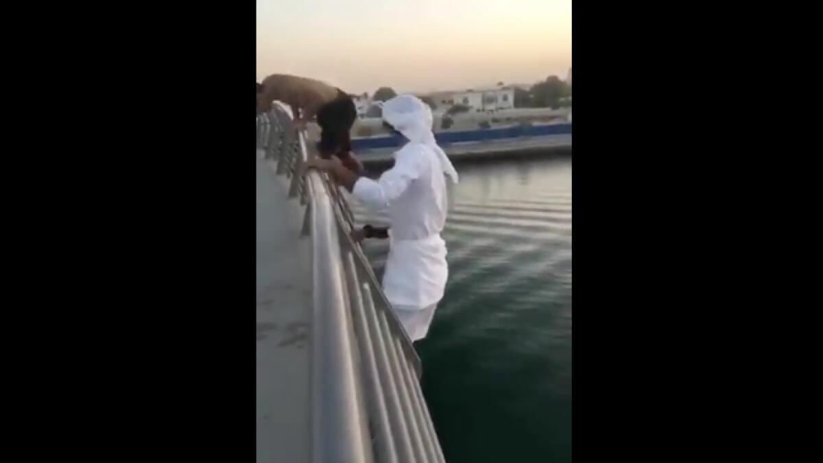 Video: Three boys arrested for jumping off Dubai Canal bridge