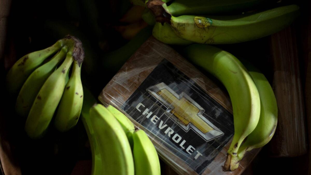 Picture shows a package of cocaine among bananas. — AFP