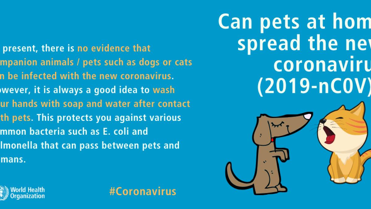 There is no evidence that companion animals or pets such as dogs or cats can be infected with the new coronavirus. However, it is always a good idea to wash your hands with soap and water after contact with pets. 