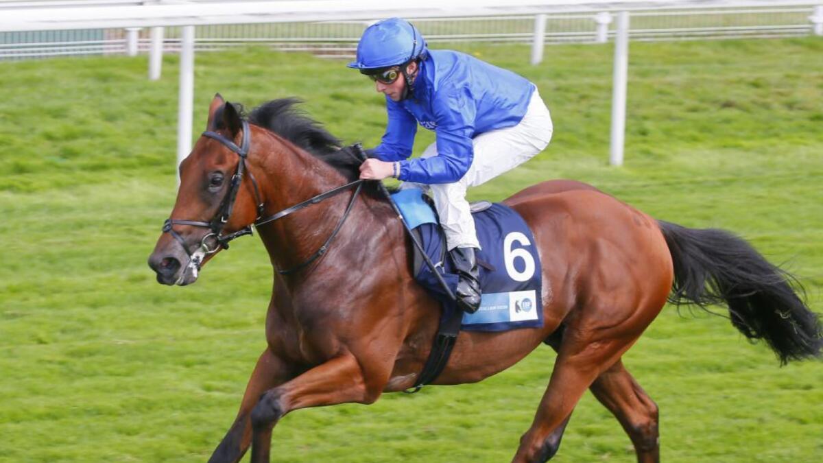 Naval Crown carries Epsom Derby-winning handler Charlie Appleby’s hopes in the Group 2 Al Fahidi Fort Presented By Mina By Azizi. — Godolphin