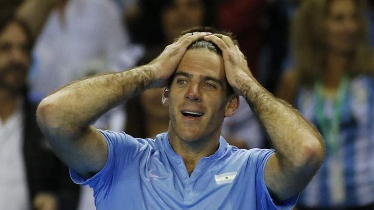 Del Potro makes huge leap in rankings after Stockholm title