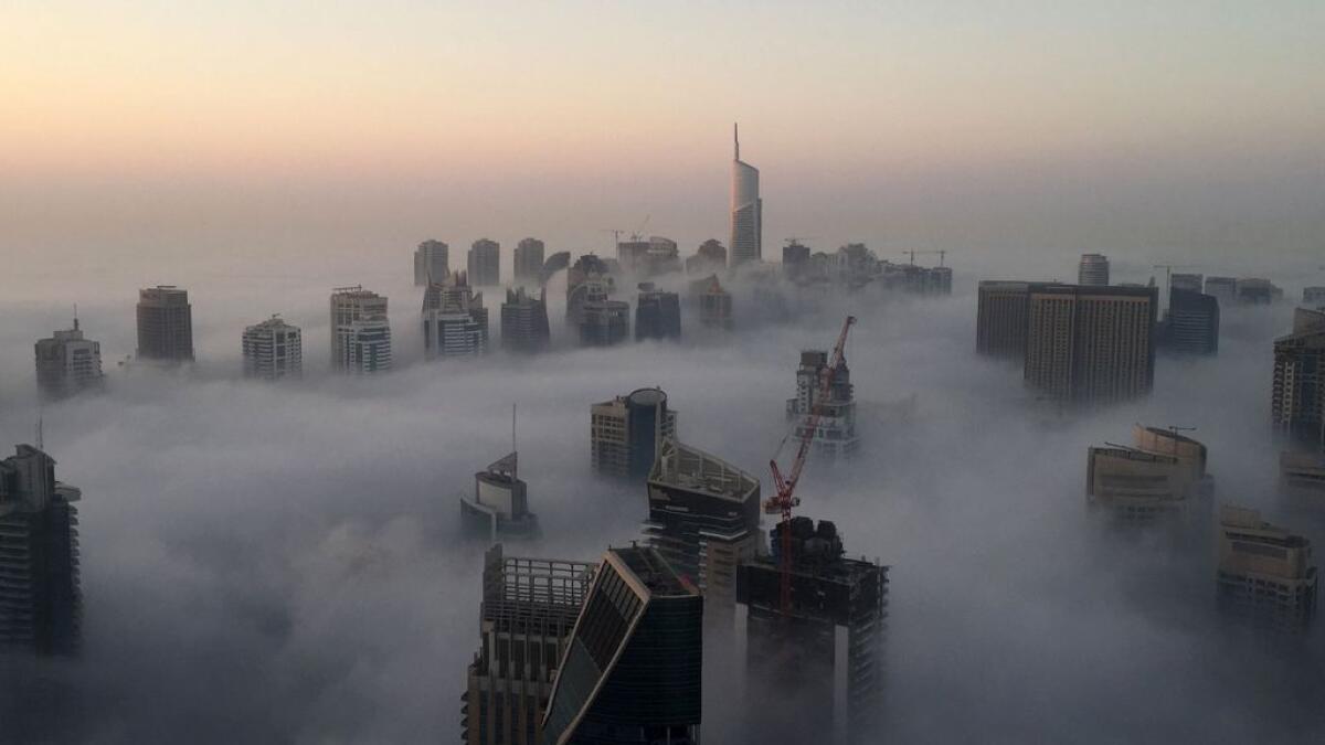 Check status of Dubai flights affected by heavy fog