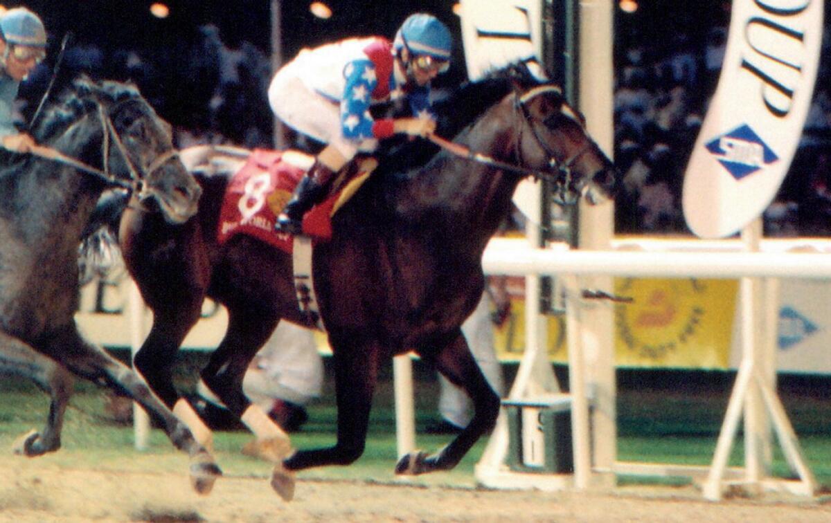 Cigar (right) crosses the finish line ahead of Soul of The Matter. — KT file