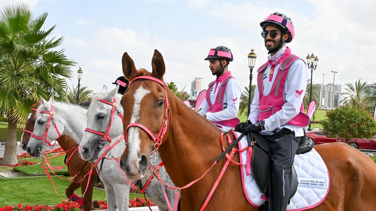 UAE-wide journey, UAE, Pink Caravan Ride, Details, free, cancer screenings,  revealed