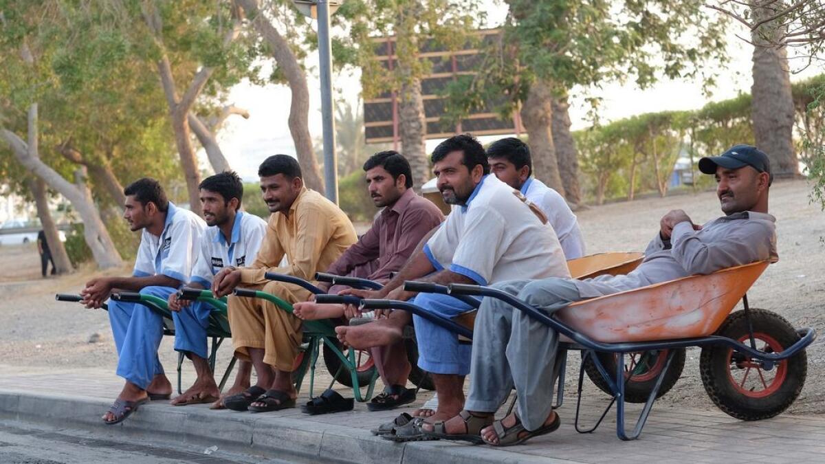 Dubai fish market workers resting on their trolleys during the break time. Photo by Shihab/Khaleej Times