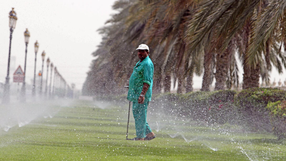 A gardener walks around in the afternoon at University City in Sharjah.