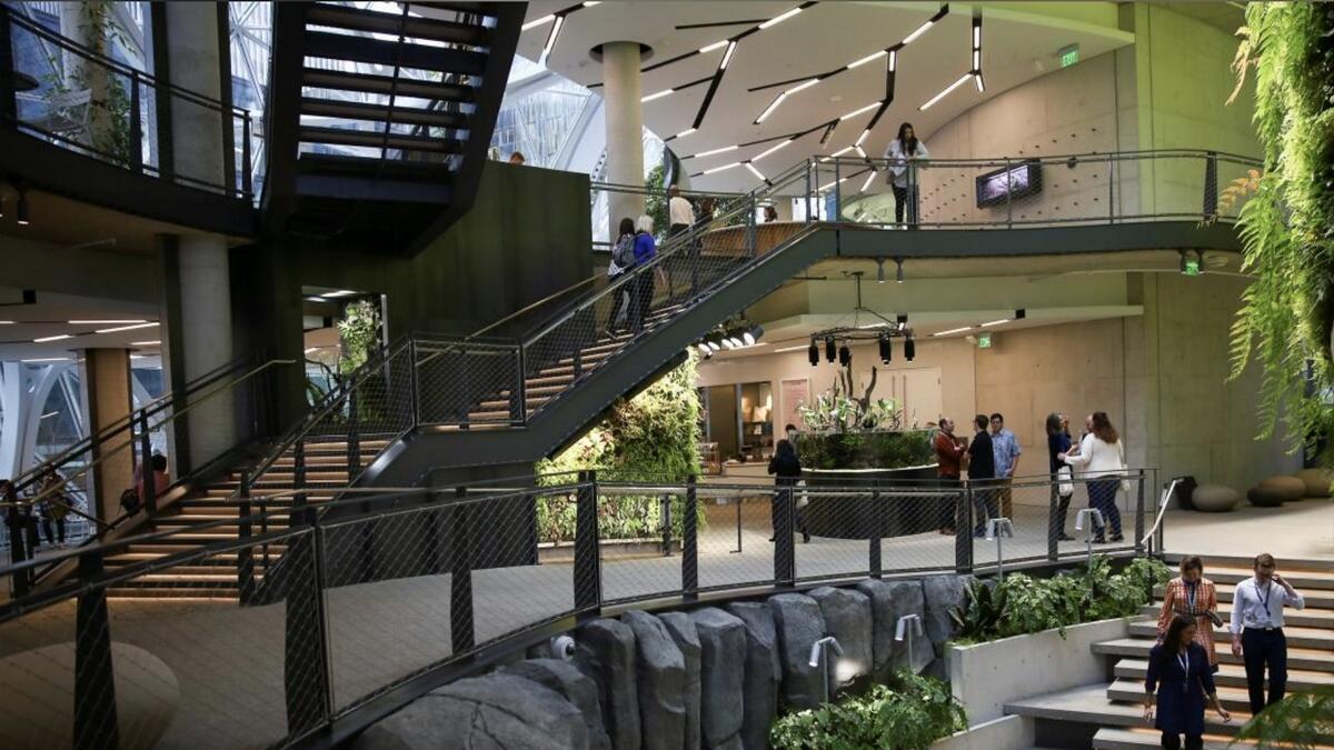  Amazon opens its own rainforest in Seattle
