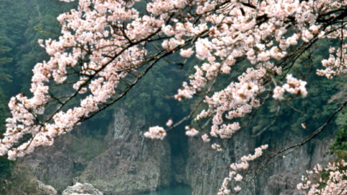 Spring in Dorokyo, Wakayama Prefecture