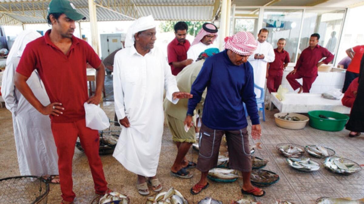 Fish prices double in Umm Al Quwain 