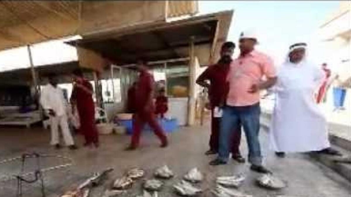 Kanaad, jash, shekhibi,summer months, fish price, UAE, Scorching temperature
