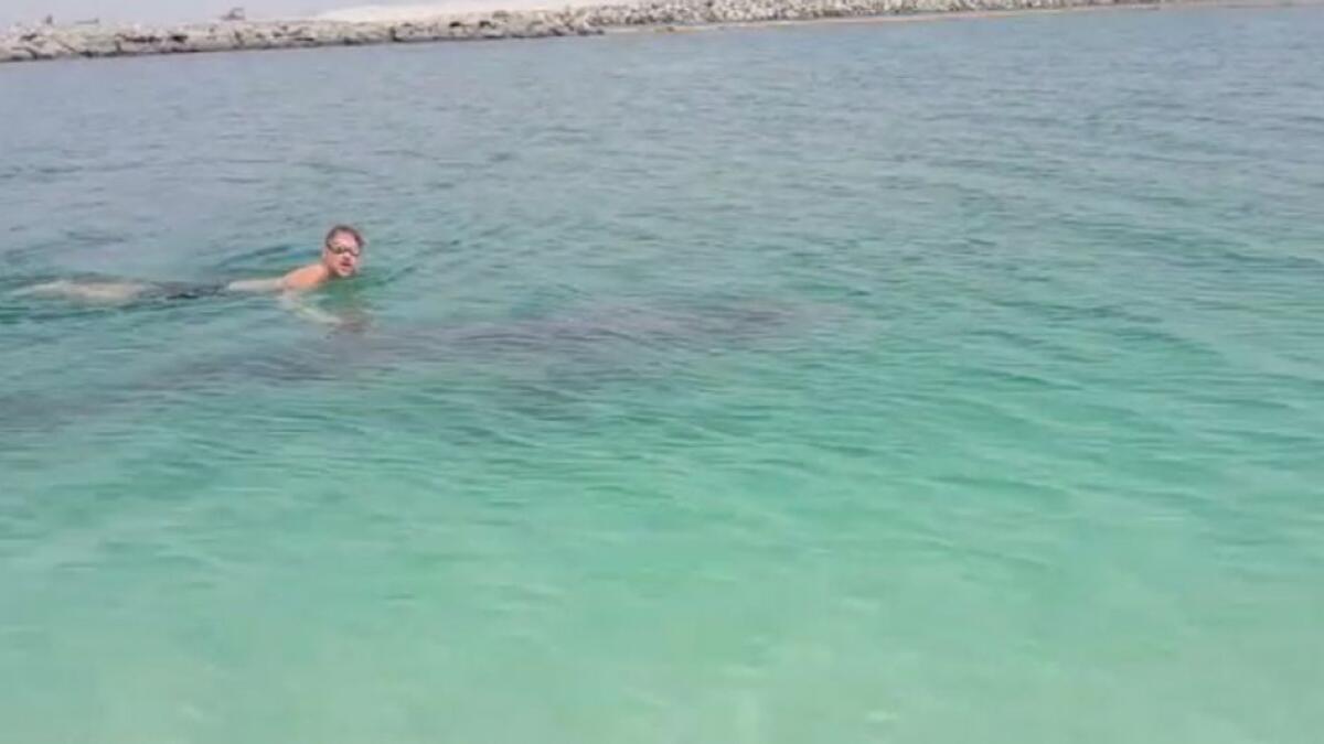 As family watches, Dubai resident swims with whale shark