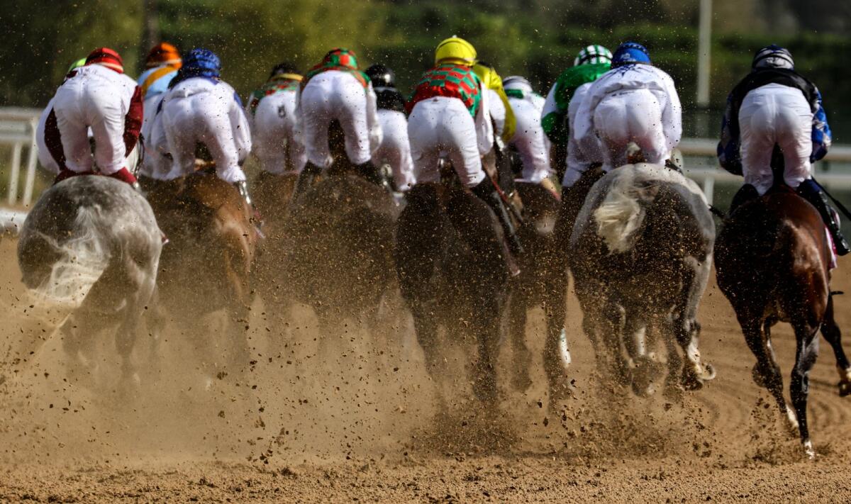Jockeys compete in the Dubai World Cup horse racing event on March 26, 2021. — AFP file