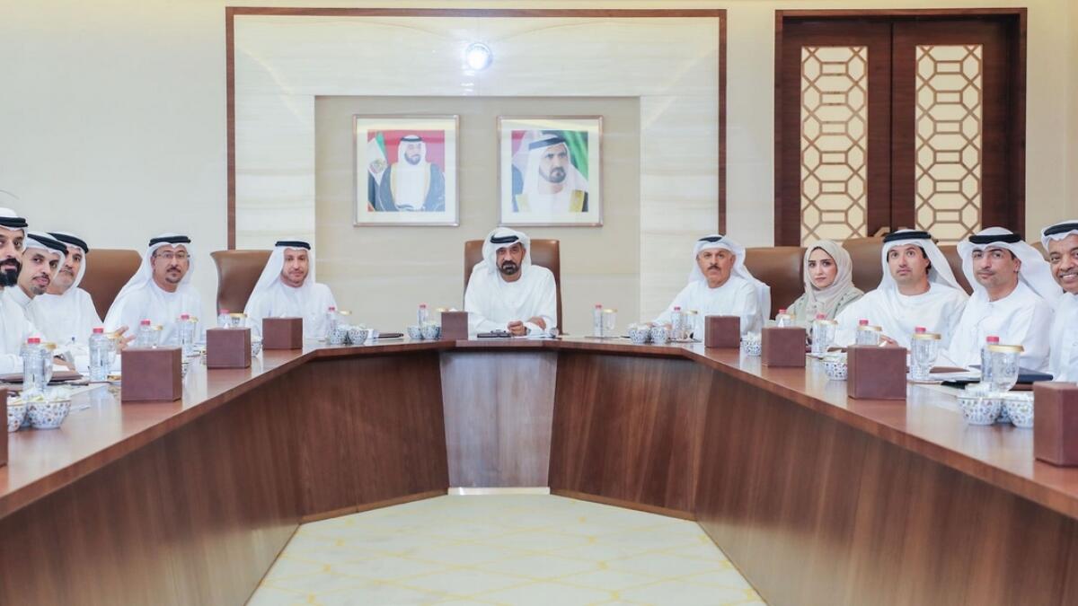 DFZ Council submits e-commerce initiative to Executive Council
